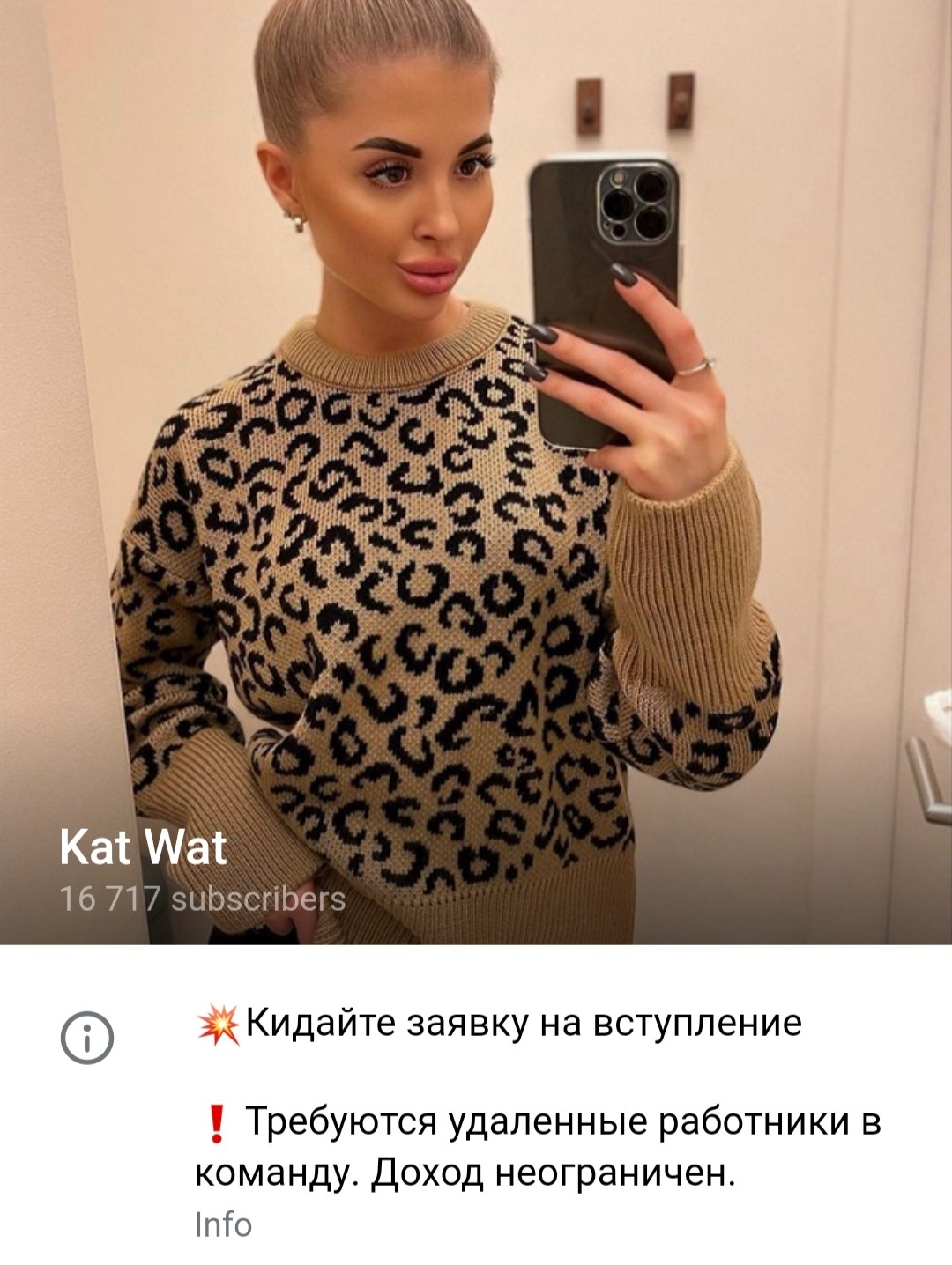 Телеграм канал Kat Wat обзор