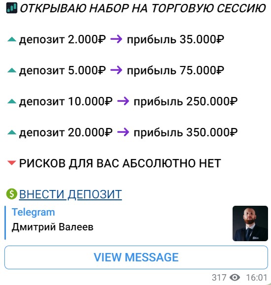Телеграм Дмитрий Валеев условия инвестирования