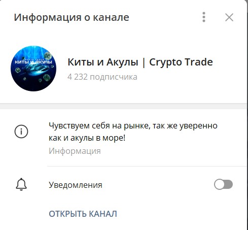 Телеграм канал Дмитрий Катушадзе