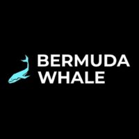 Телеграм Bermuda Whale