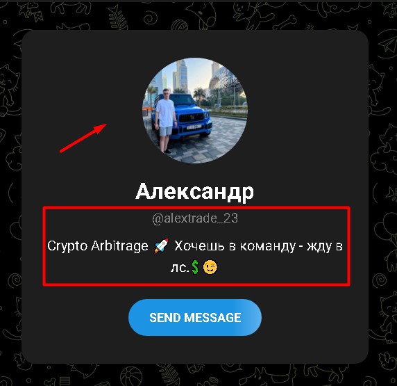 grizzly team арбитраж обзор