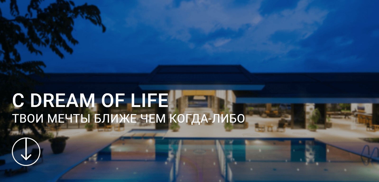 DreamOfLives обзор проекта