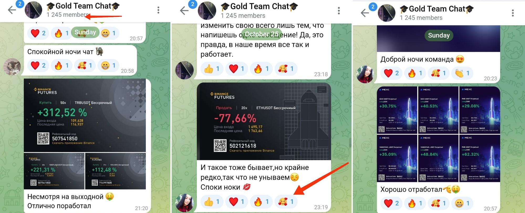Gold Team Chat телеграм