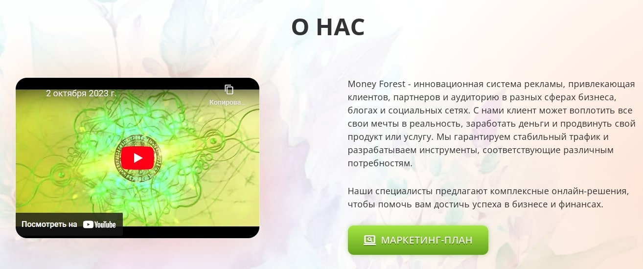 Money Forest сайт инфа