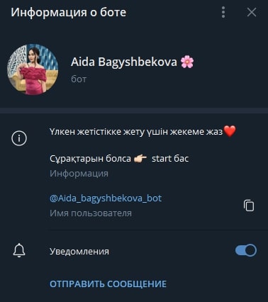 Aida bagyshbekova bot телеграм