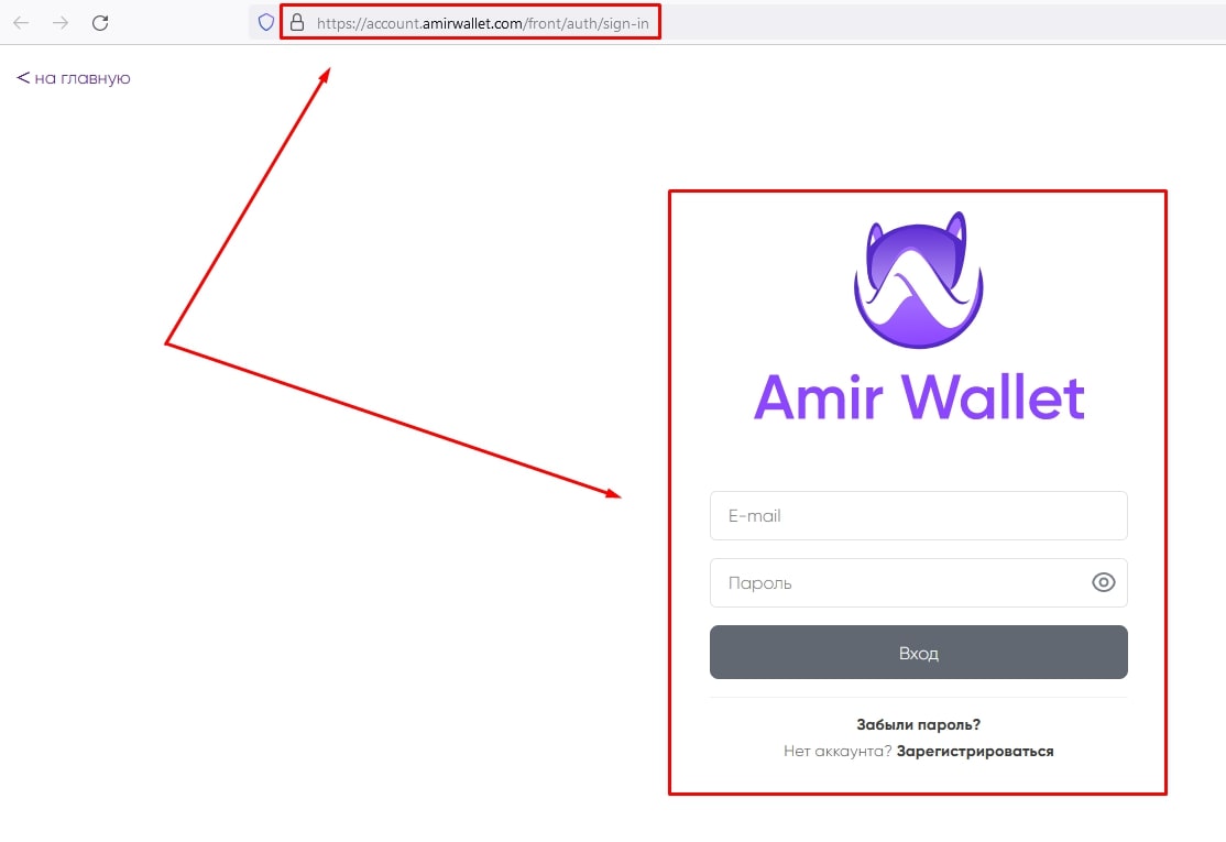 amirwallet com авторизация