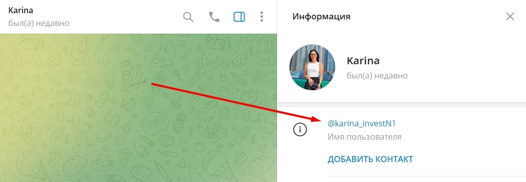 Karina InvestN1 телеграм