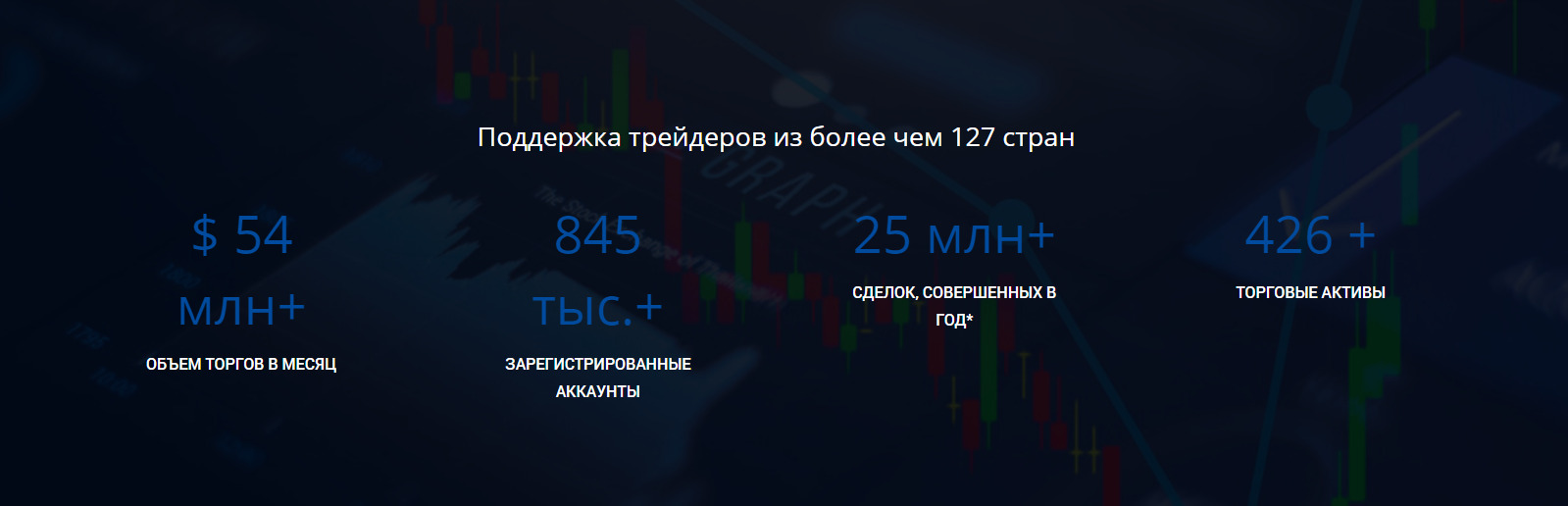 Статистика проекта Top Tier Trader